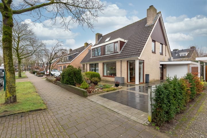 Foto 4 van Esdoorn 15