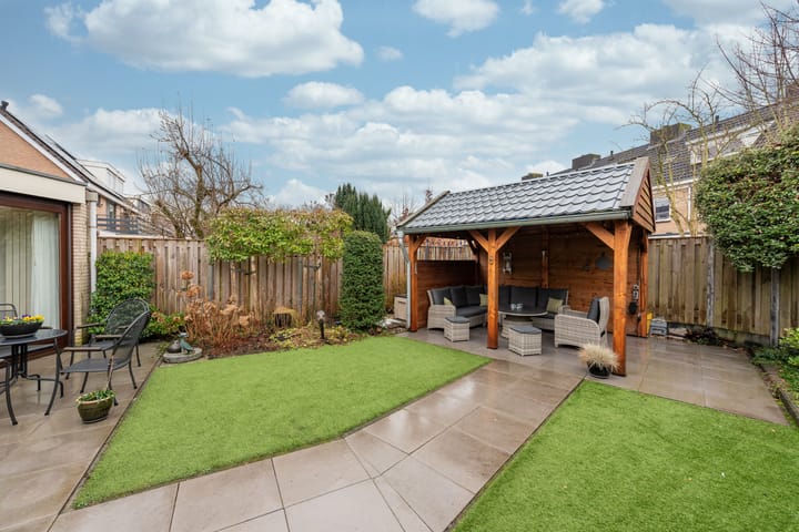 Foto 21 van Esdoorn 15