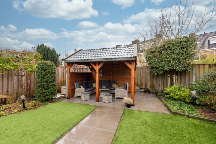 Foto 22 van Esdoorn 15