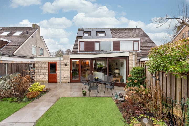 Foto 25 van Esdoorn 15