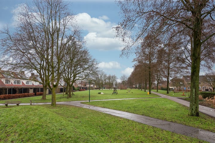 Foto 46 van Esdoorn 15