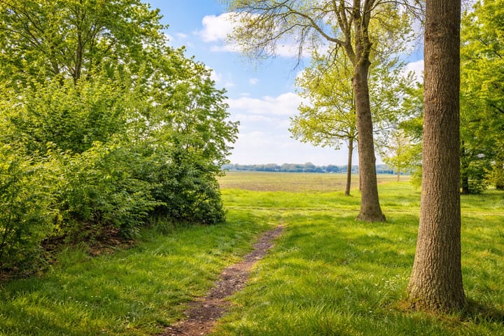 Foto 25 van Cederlaan 9