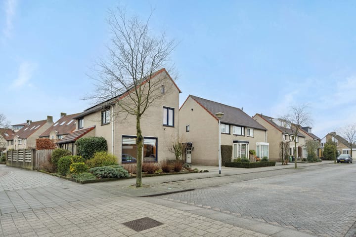 Foto 26 van Narcisvallei 2