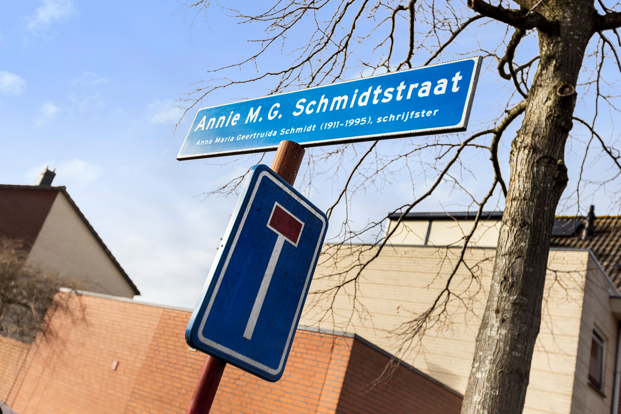 Photo 42 of Annie M.G. Schmidtstraat 3