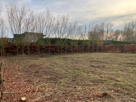 Wettenseind thumbnail