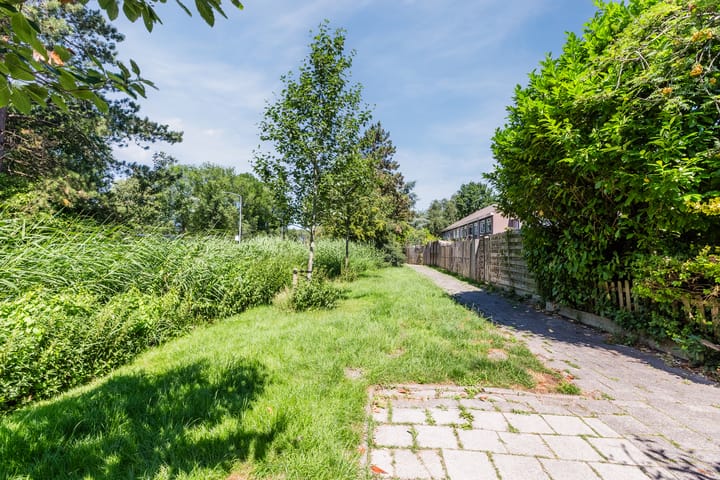 Photo 55 of Boogschutter 164