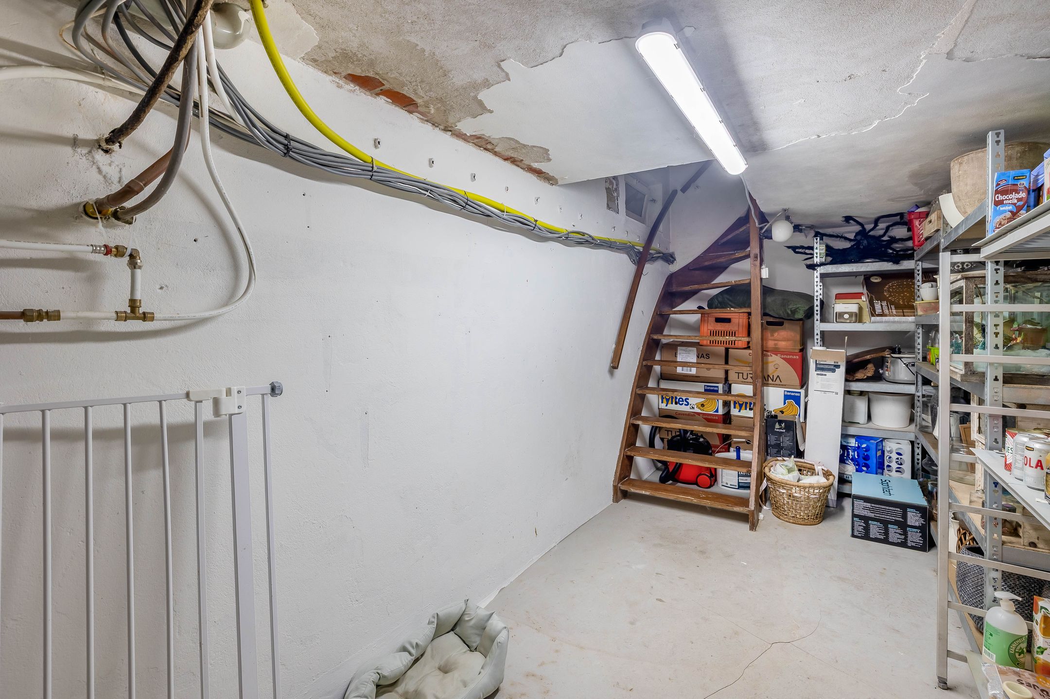 Photo 51 of Mr. Zigher ter Steghestraat 26