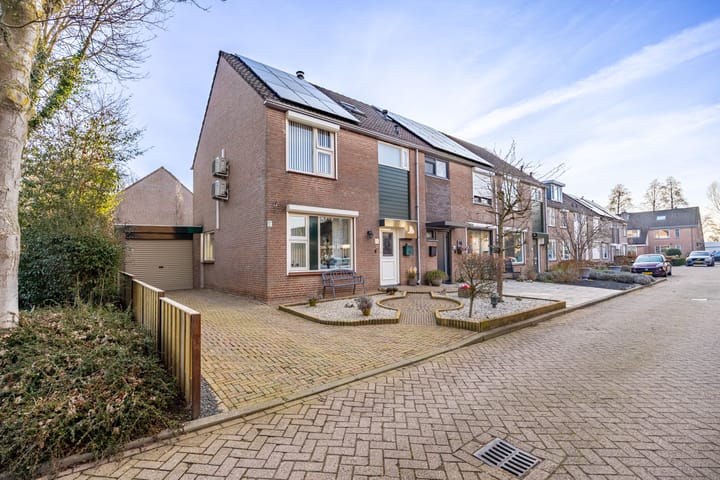 Papaver 50 main image