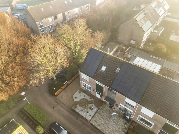 Foto 30 van Papaver 50