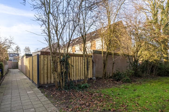 Foto 31 van Papaver 50