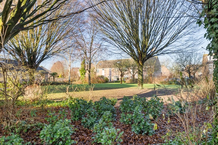 Foto 33 van Papaver 50