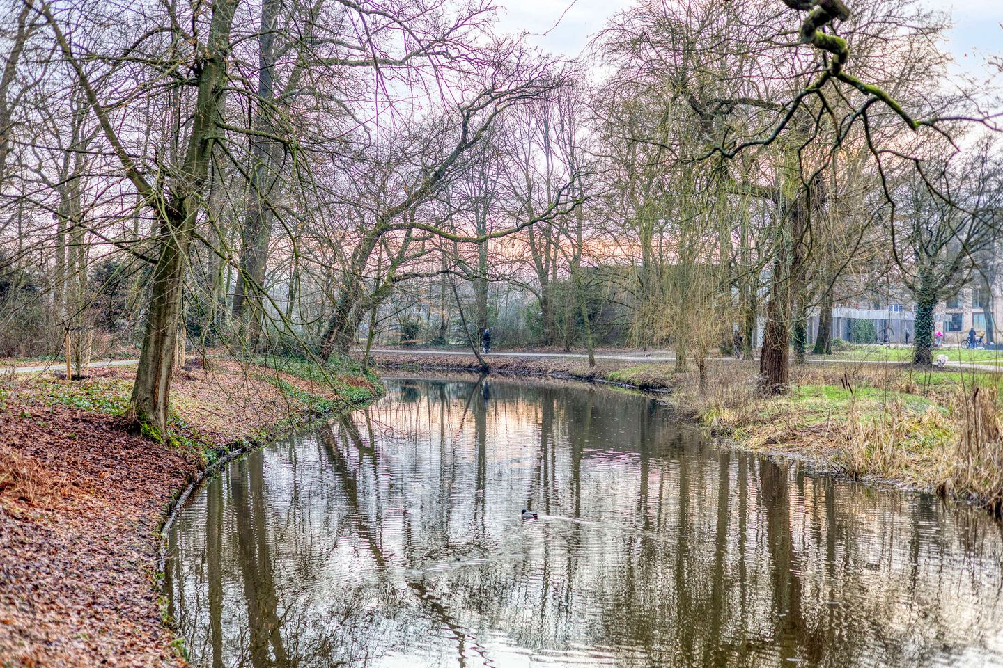 Foto 29 van Van der Glashof 11