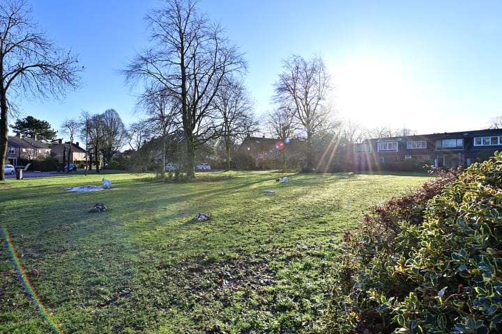 Foto 14 van Windvang 3