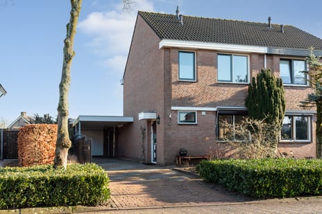 van Houtenstraat thumbnail