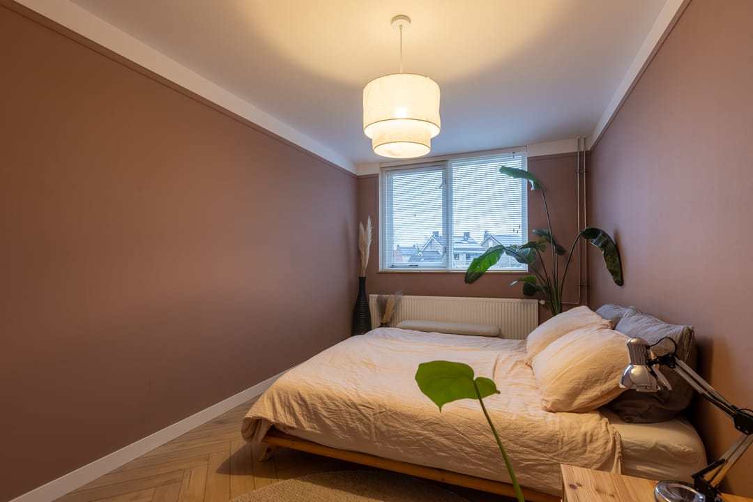 Foto 28 van van Houtenstraat 11