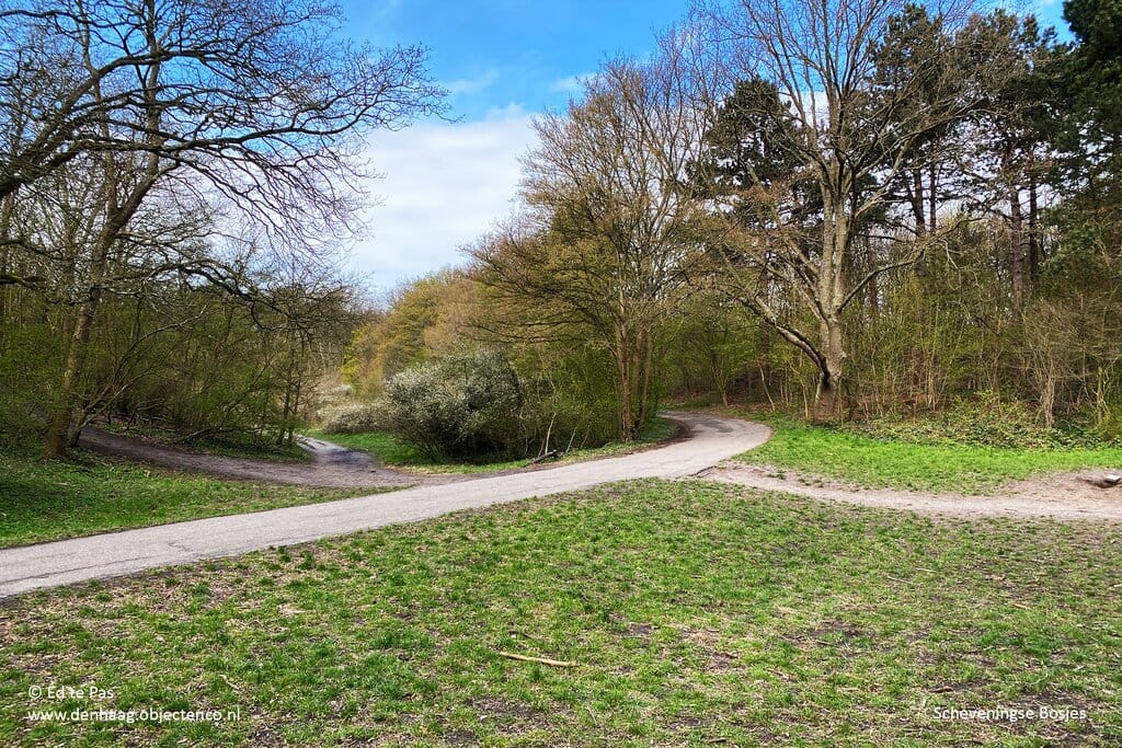 Foto 35 van Celebesstraat 35