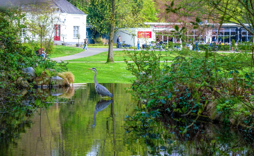 Photo 37 of Sonsbeekweg 36-2