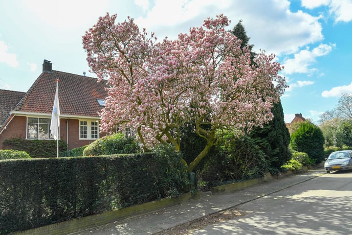 Foto 5 van Utrechtseweg 251