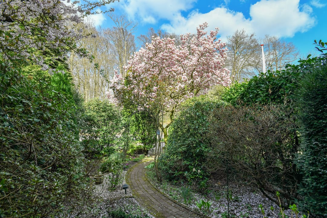 Foto 8 van Utrechtseweg 251