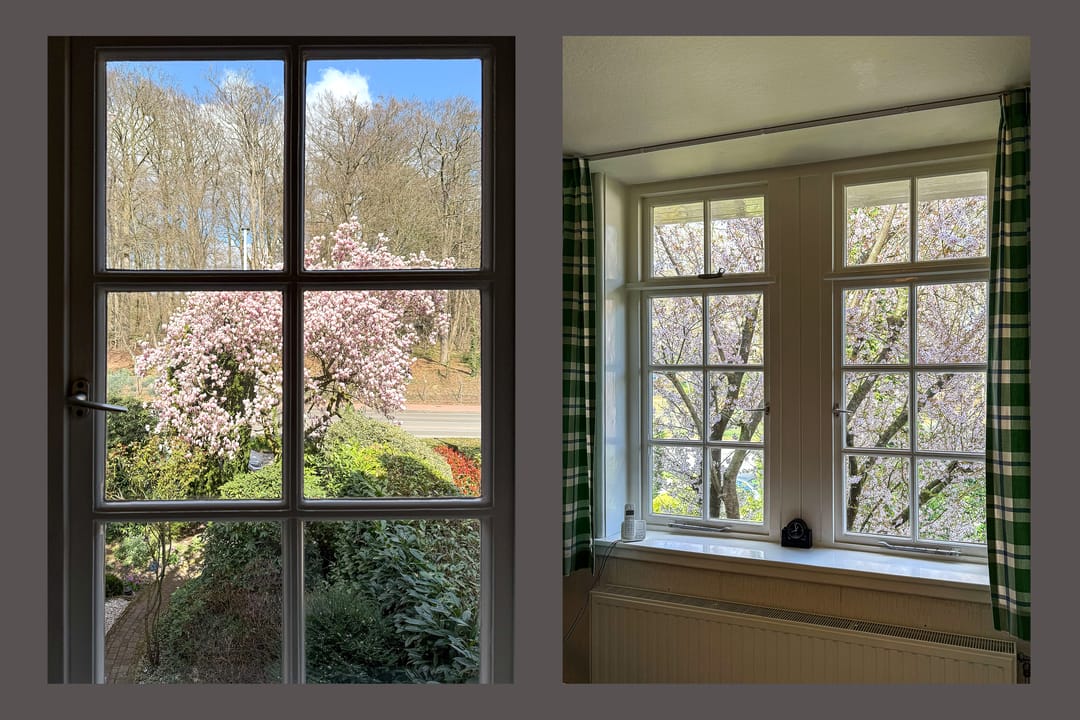 Foto 28 van Utrechtseweg 251