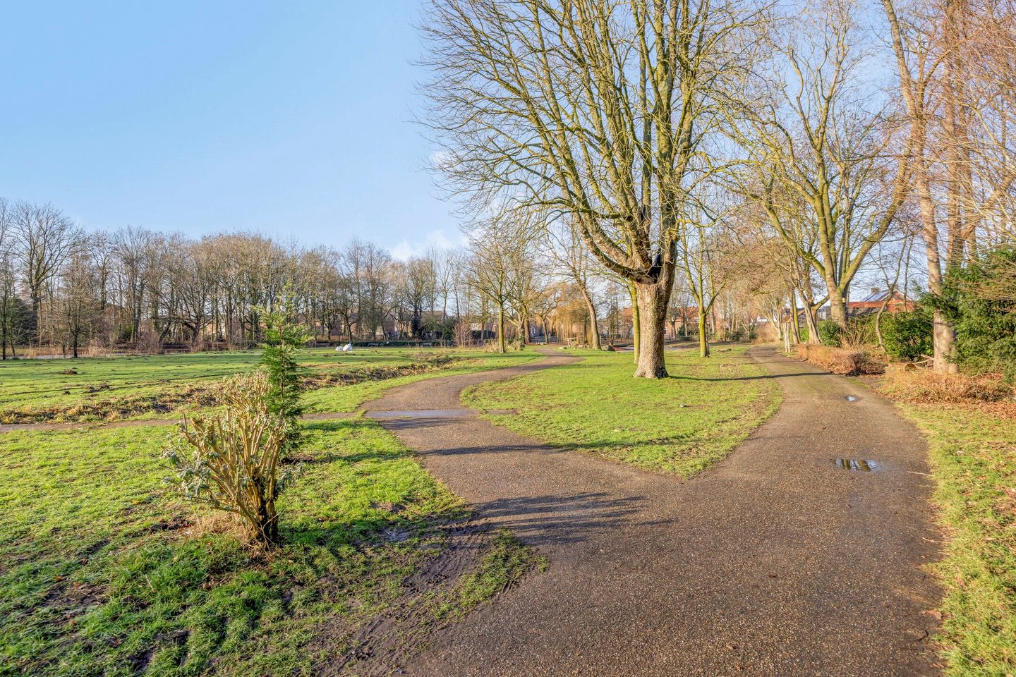 Foto 50 van van Wieldrechtstraat 2