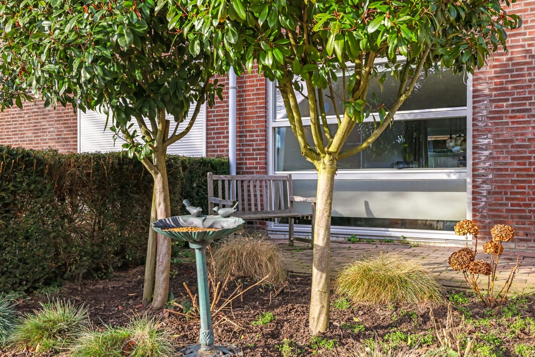 Foto 68 van De Wettering 8