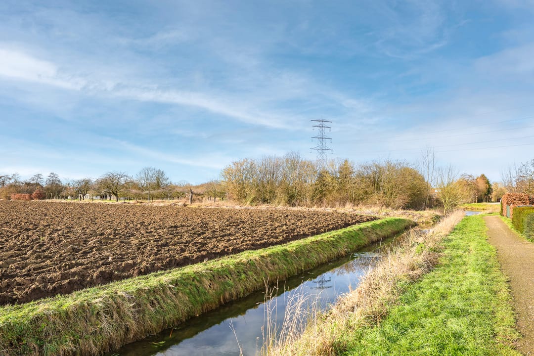 Foto 77 van De Wettering 8