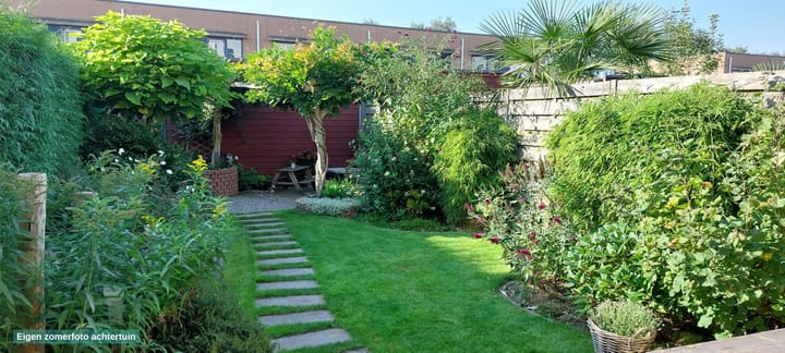 Foto 33 van Tolgaarderstraat 62