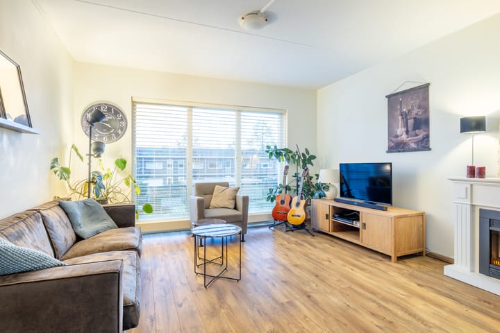 Foto 2 van Puntkroos 60