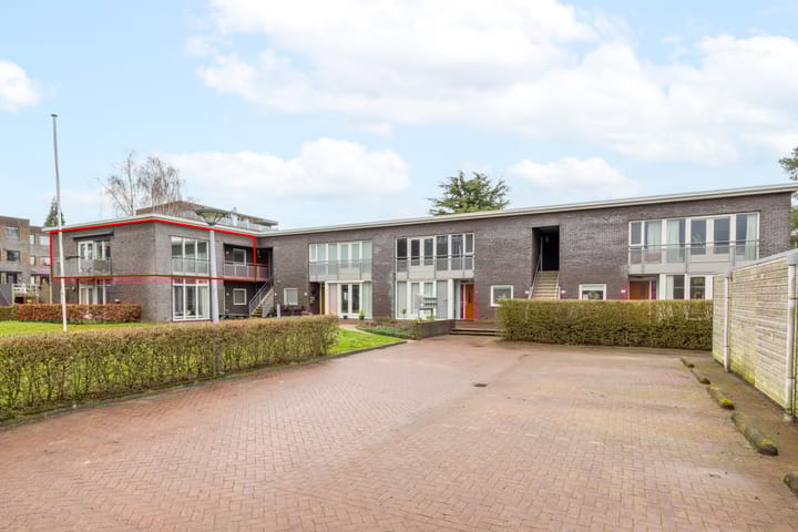 Foto 4 van Puntkroos 60