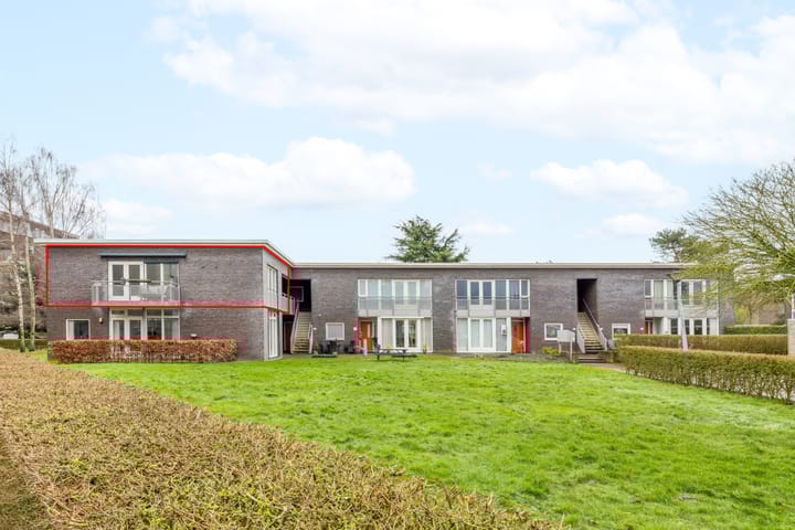 Foto 5 van Puntkroos 60