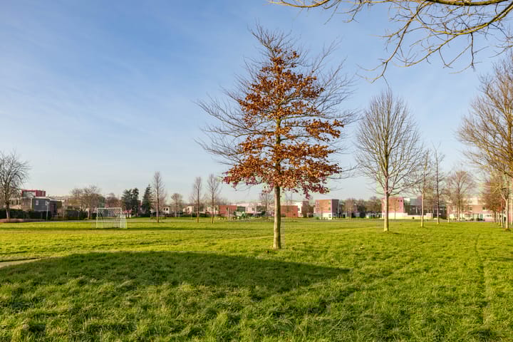 Foto 40 van Van den Broekstraat 2