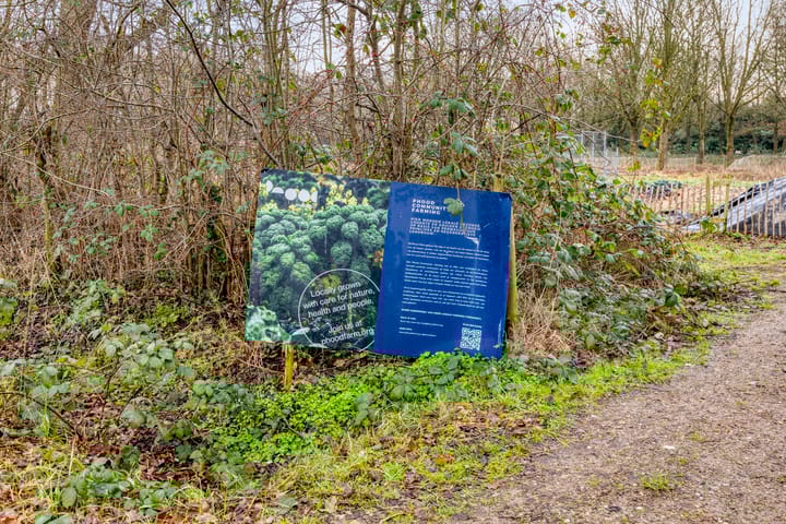 Foto 47 van Rik Woutersweg 17