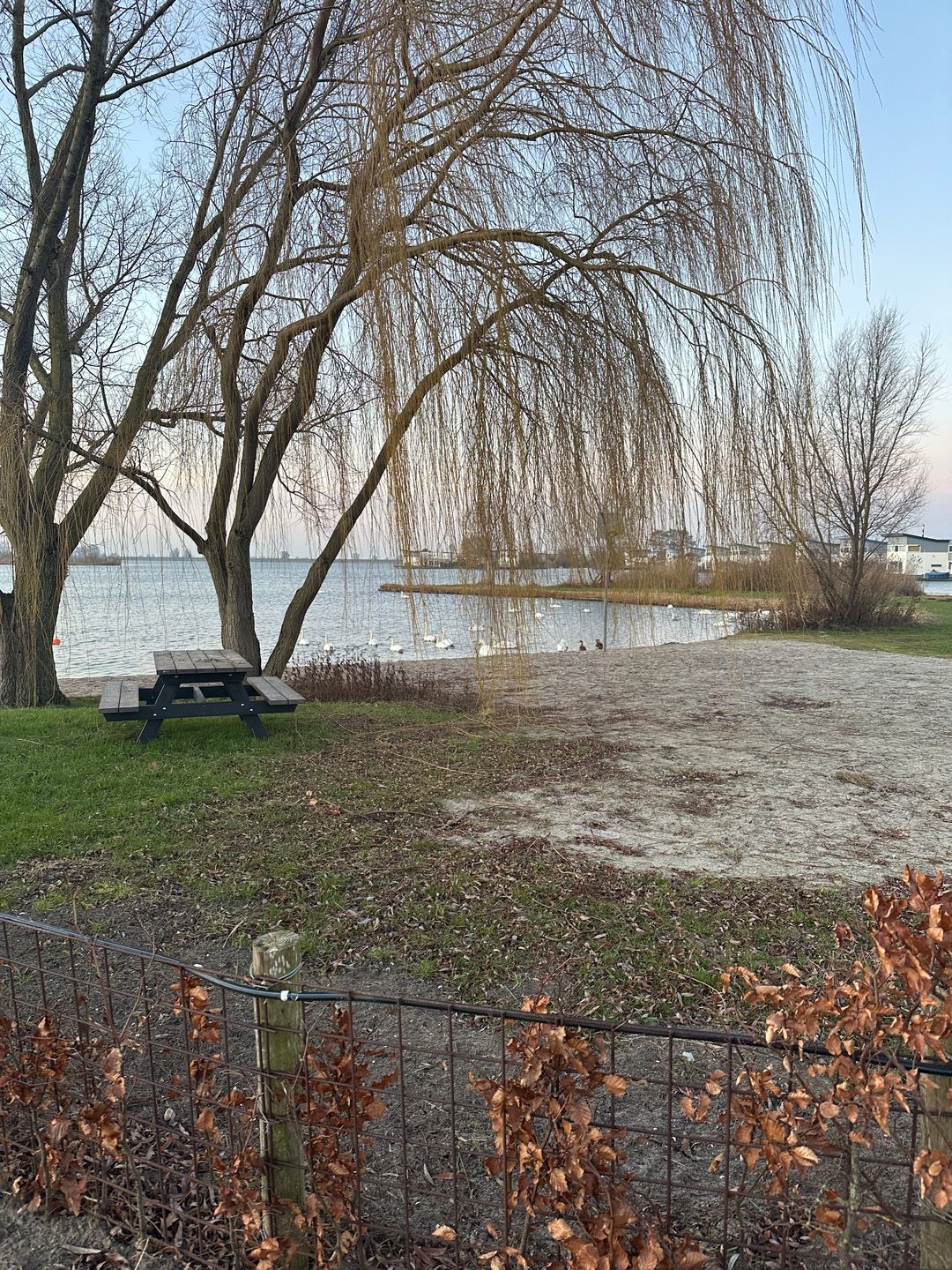 Foto 16 van Schermer 77