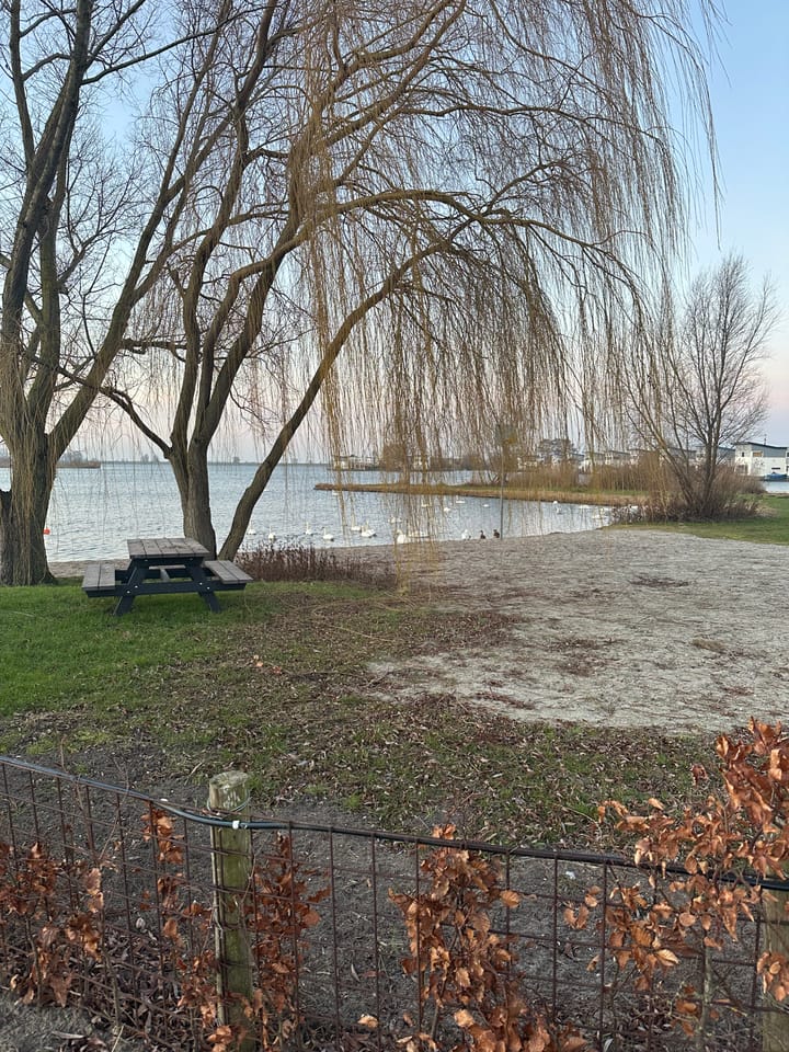 Foto 16 van Schermer 77