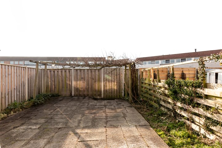 Foto 5 van Galjoen 27 23