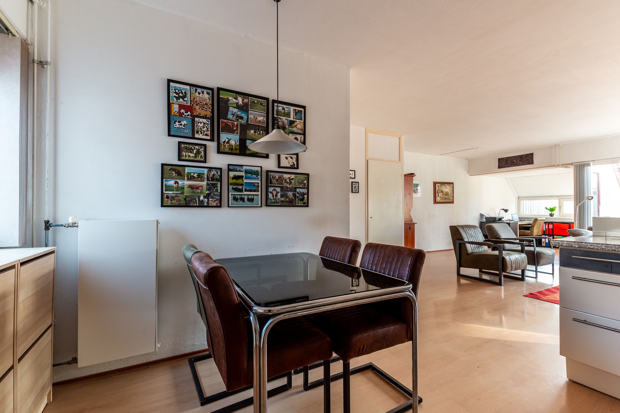 Foto 12 van Galjoen 27 23