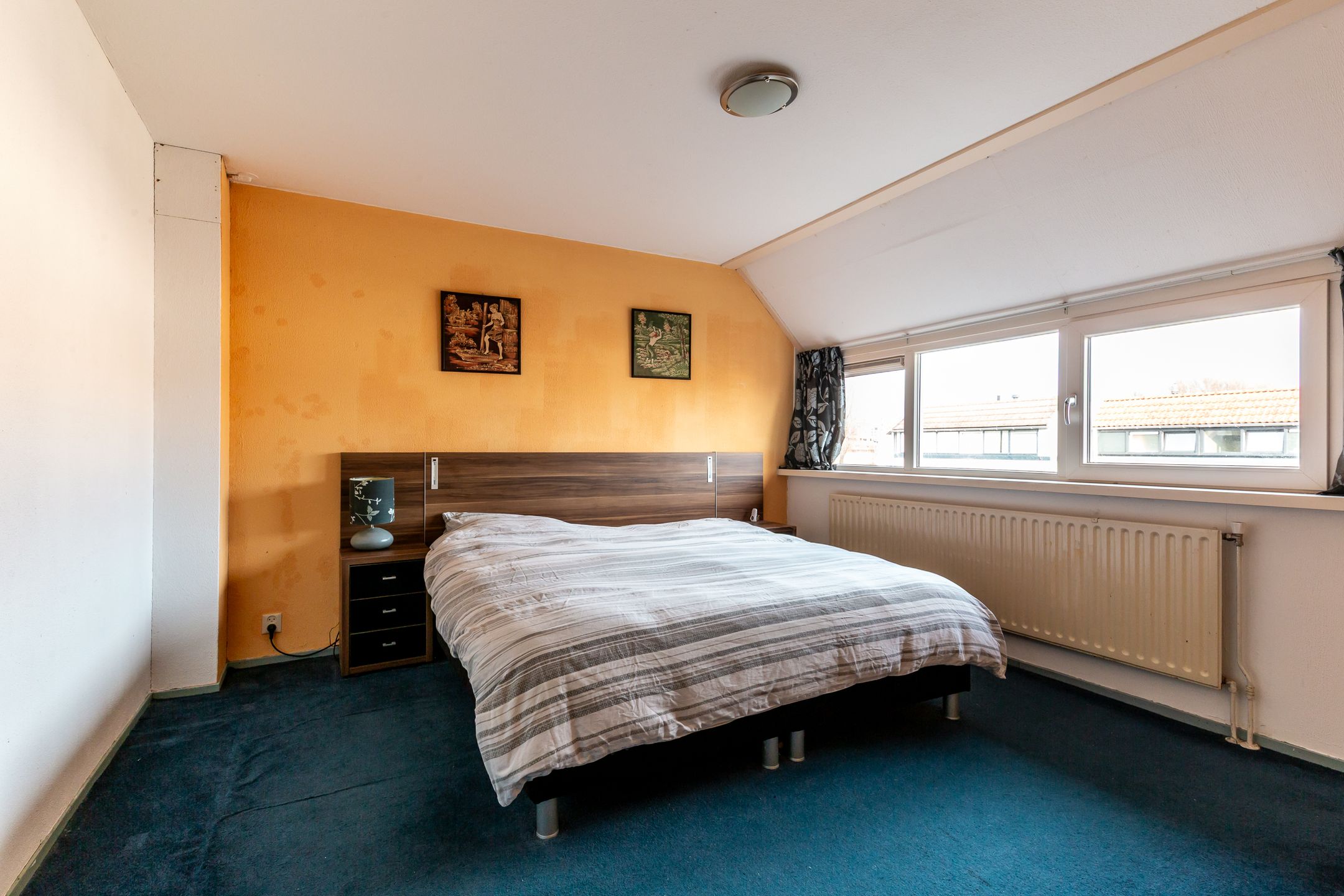 Foto 15 van Galjoen 27 23