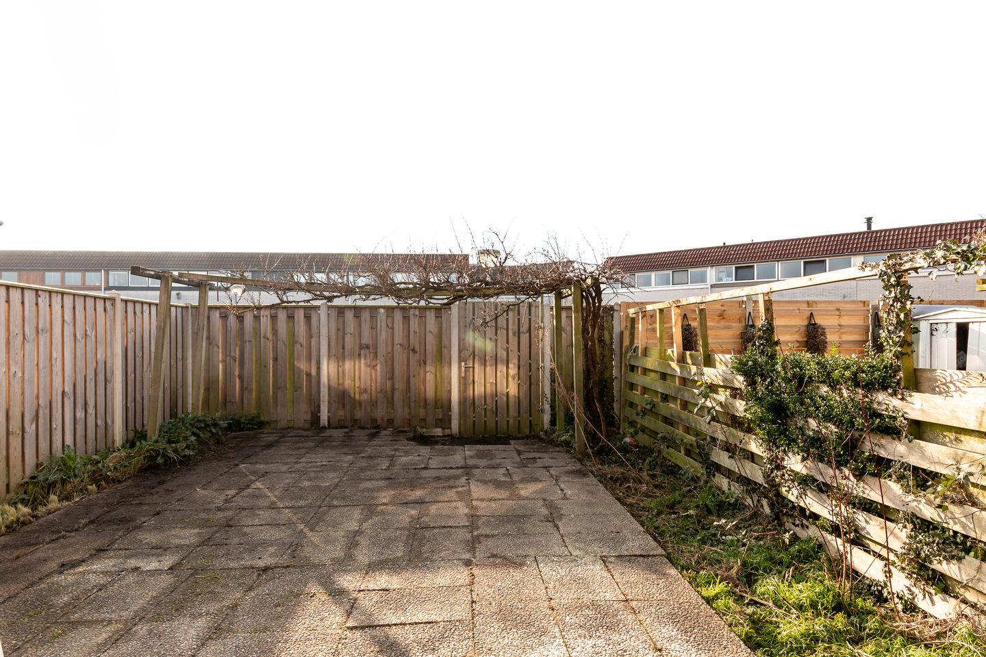 Foto 25 van Galjoen 27 23