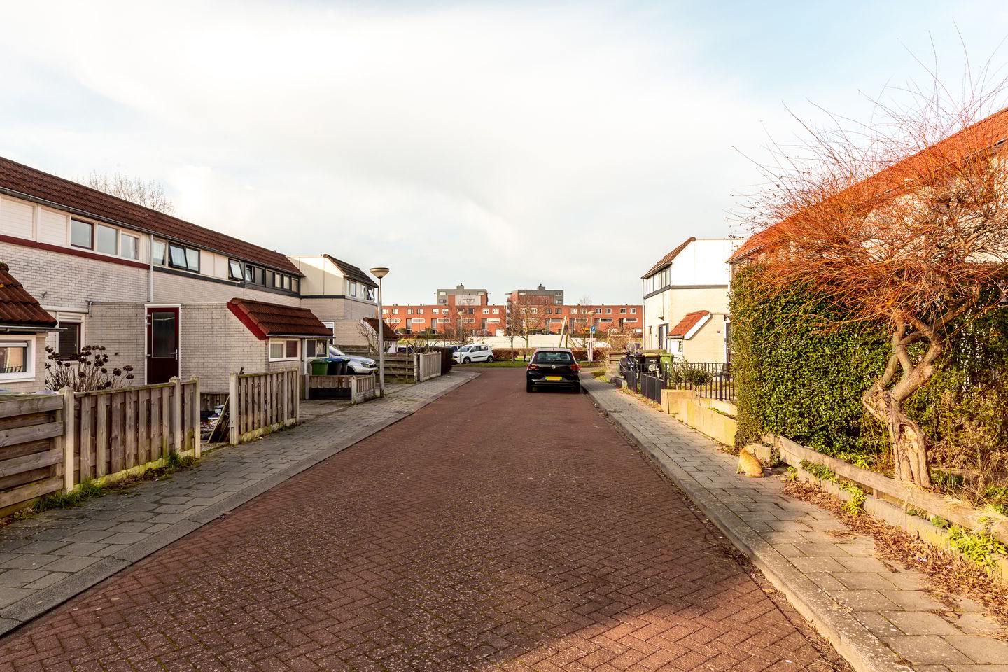 Foto 29 van Galjoen 27 23