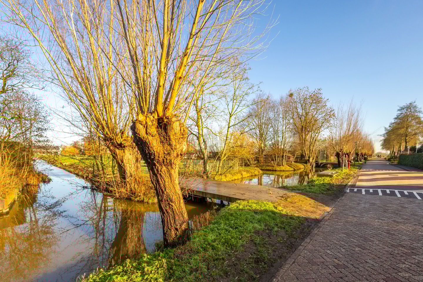 Photo 29 of Koningin Wilhelminalaan 101