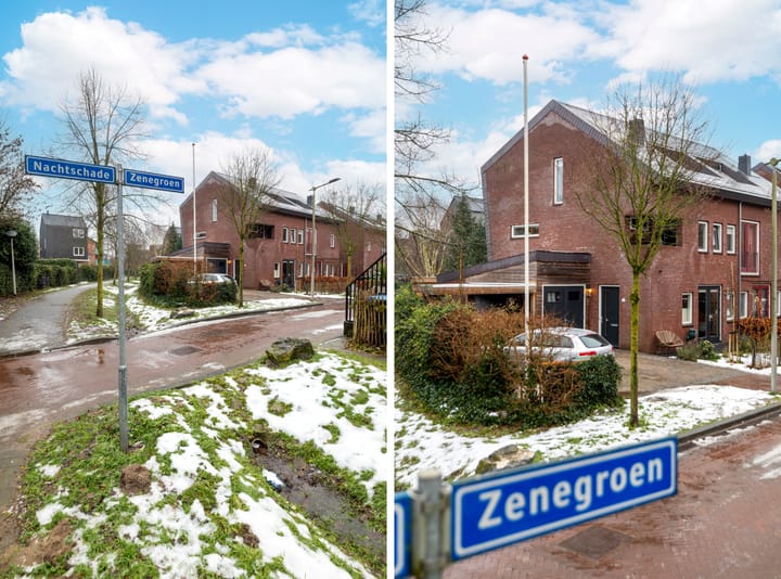 Foto 63 van Zenegroen 62