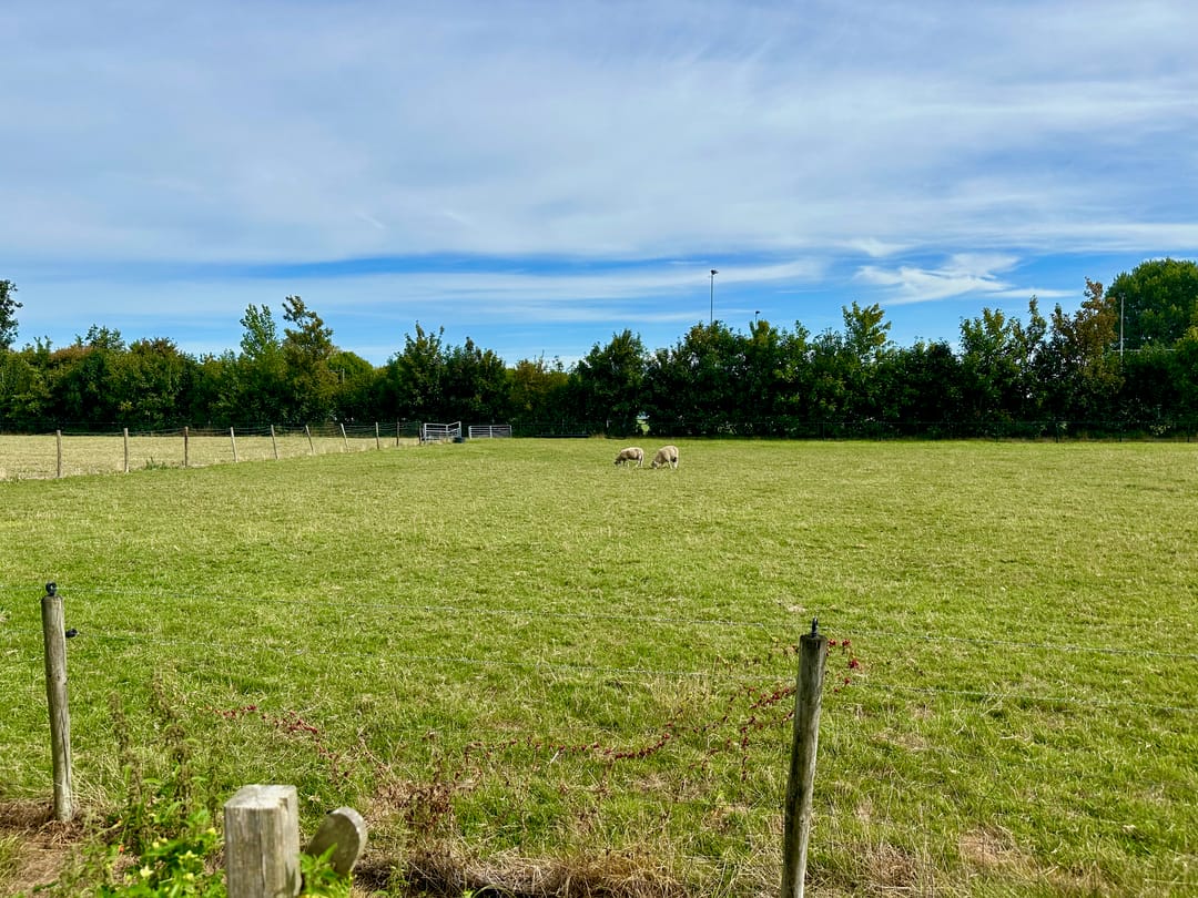 Foto 26 van Brouwerijstraat 36