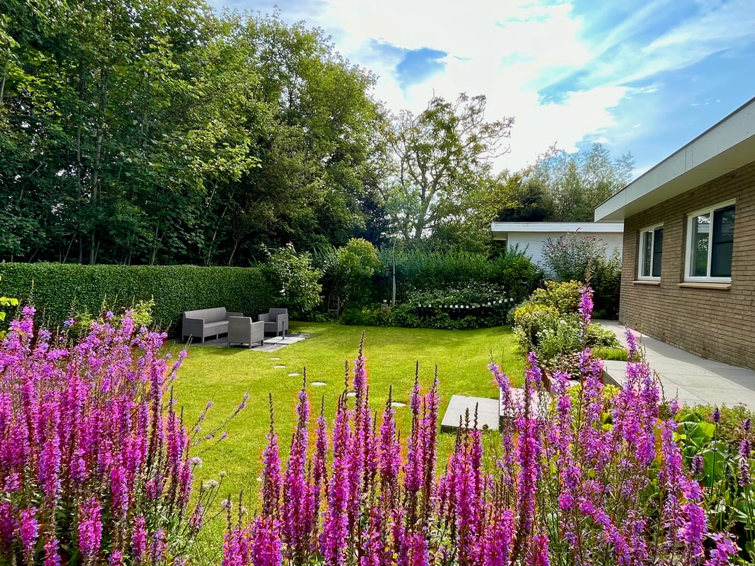 Foto 17 van Dorpsstraat 43