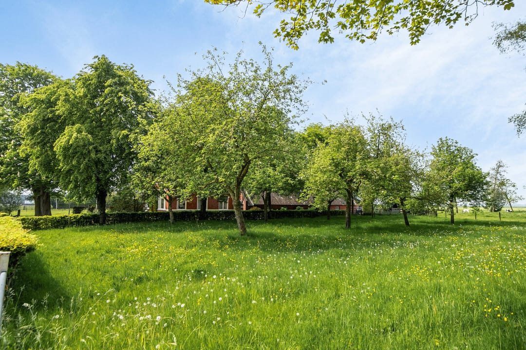 Foto 7 van Oude Wijk 13