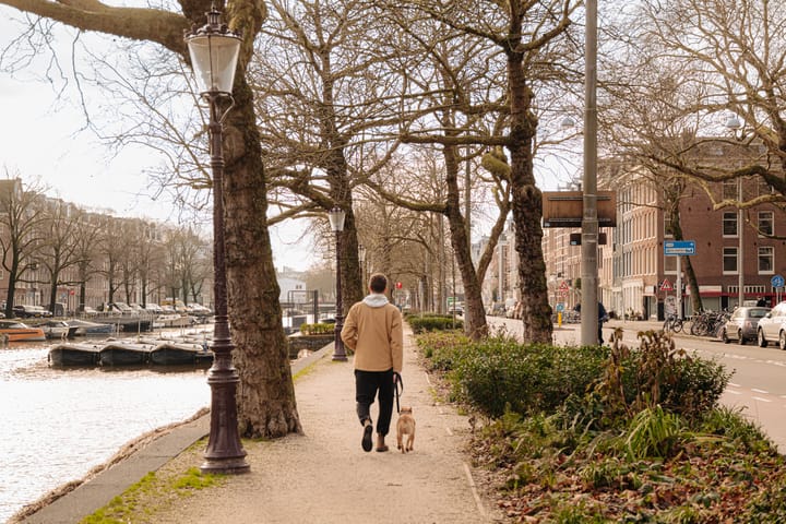 Foto 20 van Frederik Hendrikplantsoen 1-3