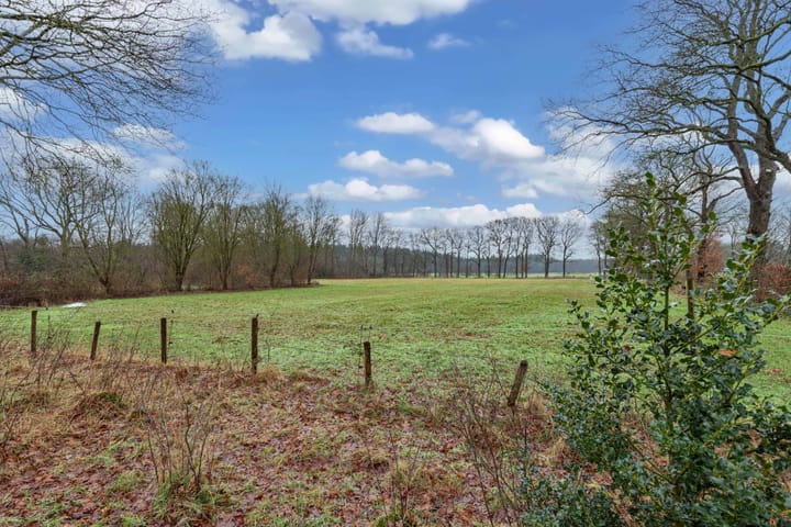 Foto 41 van Aylvalân 7