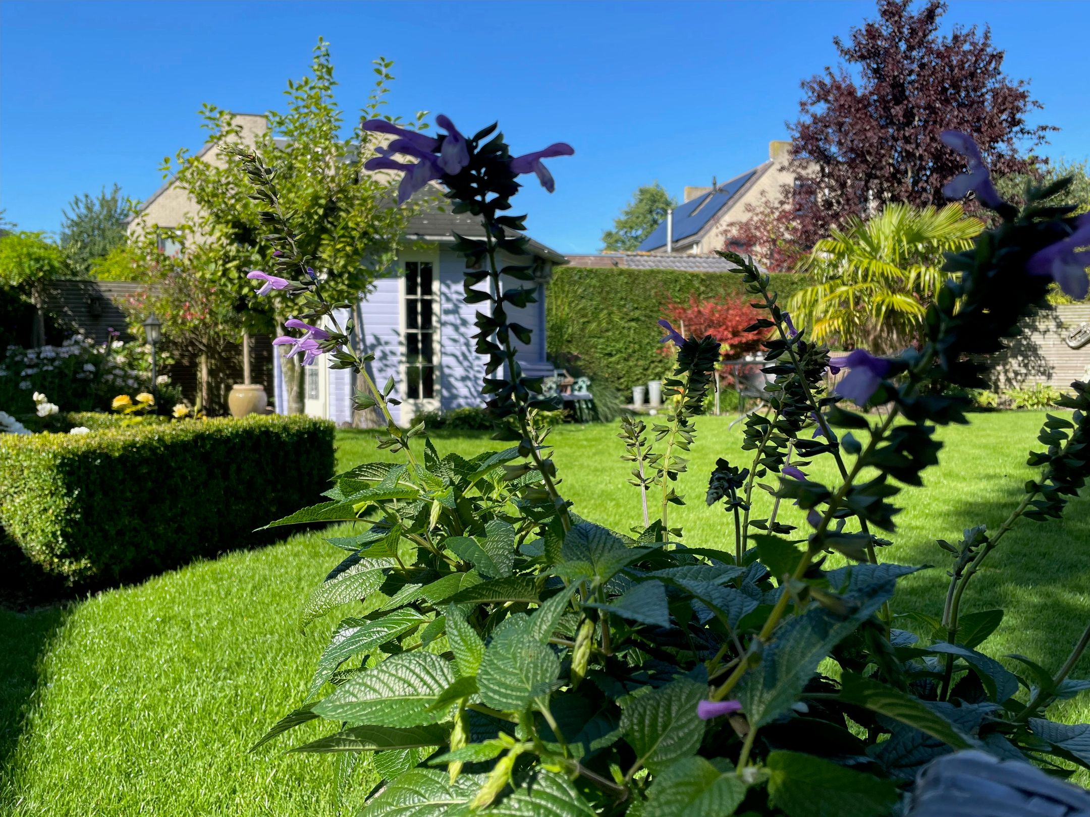 Foto 30 van Stevinstraat 1