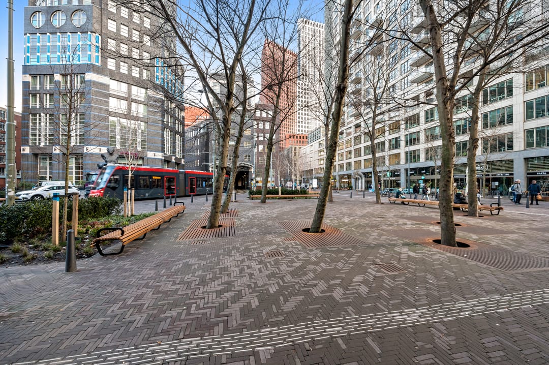 Foto 32 van Calliopestraat 7