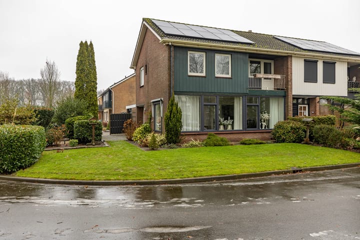 Photo 8 of Torenes 15